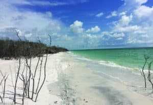 Caladesi Island - Blue Sun Realty